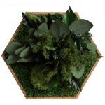 Hexagonal Moss Jungle