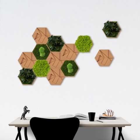 Organic Moss Hexagonal